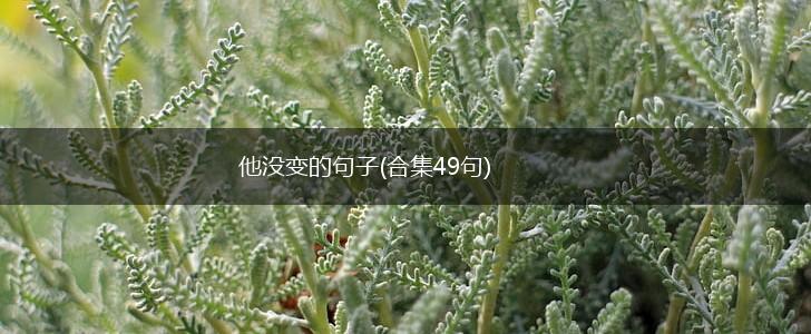他没变的句子(合集49句),第1张