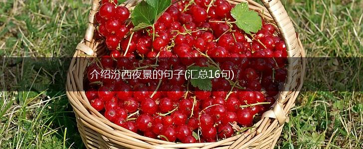 介绍汾西夜景的句子(汇总16句),第1张