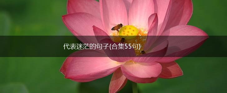 代表迷茫的句子(合集55句),第1张
