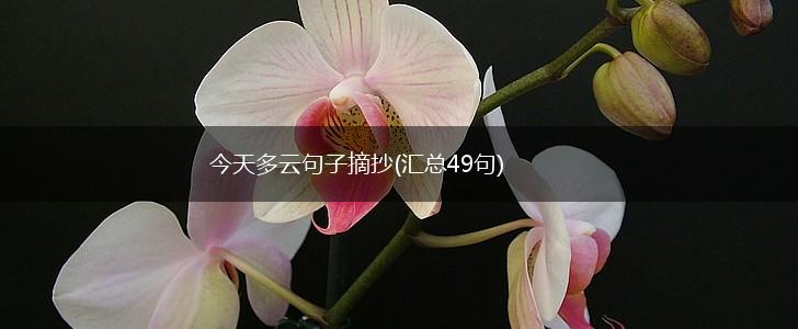 今天多云句子摘抄(汇总49句),第1张