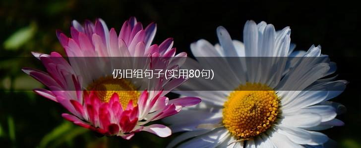 仍旧组句子(实用80句),第1张