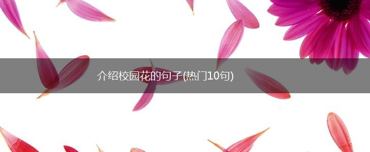 介绍校园花的句子(热门10句),第1张