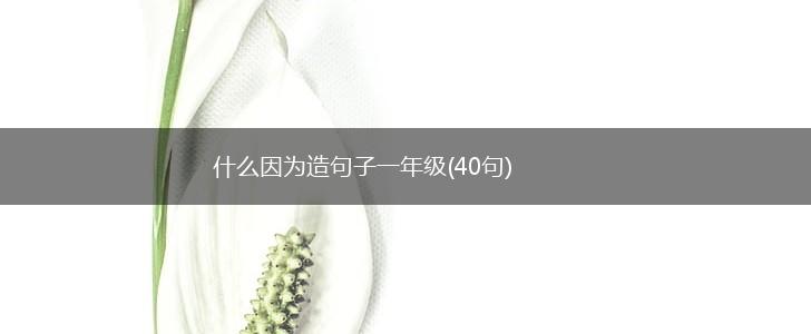 什么因为造句子一年级(40句),第1张
