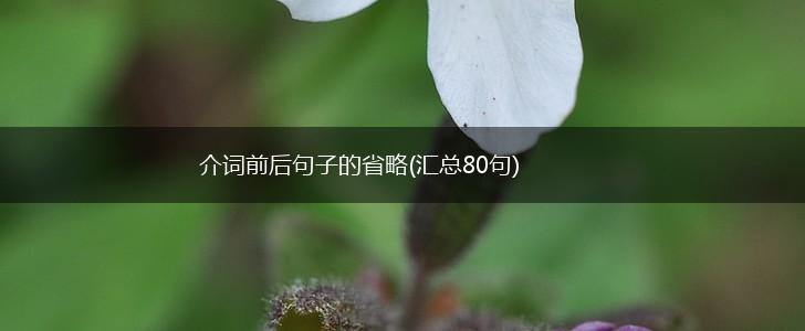 介词前后句子的省略(汇总80句),第1张