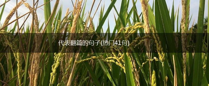 代表翻篇的句子(热门41句),第1张