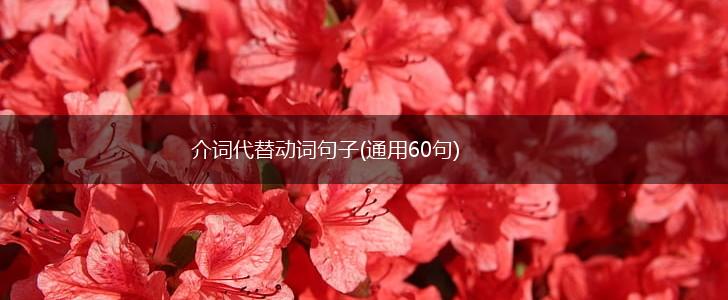 介词代替动词句子(通用60句),第1张
