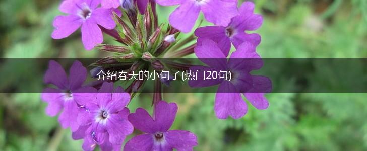 介绍春天的小句子(热门20句),第1张