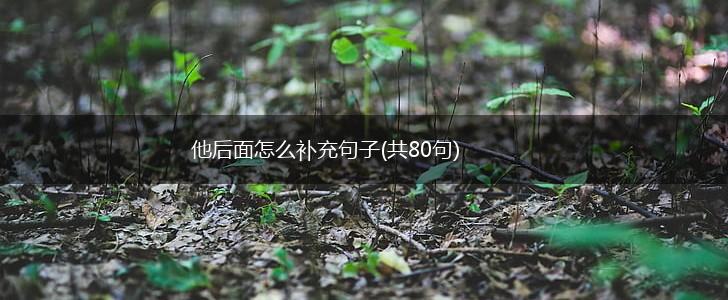 他后面怎么补充句子(共80句),第1张