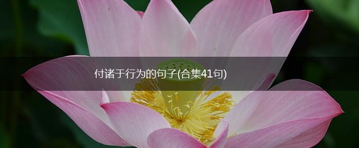 付诸于行为的句子(合集41句),第1张