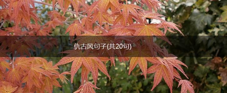 仇古风句子(共20句),第1张