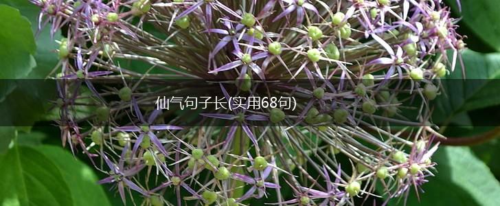仙气句子长(实用68句),第1张