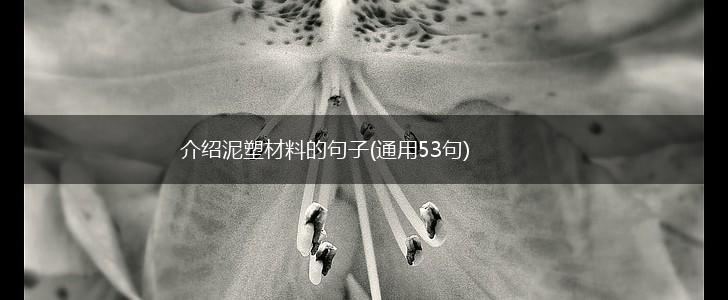 介绍泥塑材料的句子(通用53句),第1张