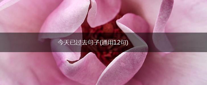 今天已过去句子(通用12句),第1张
