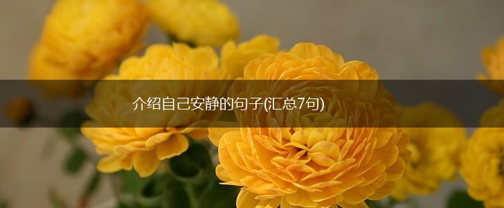 介绍自己安静的句子(汇总7句),第1张