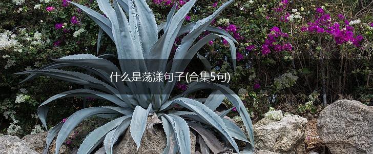 什么是荡漾句子(合集5句),第1张