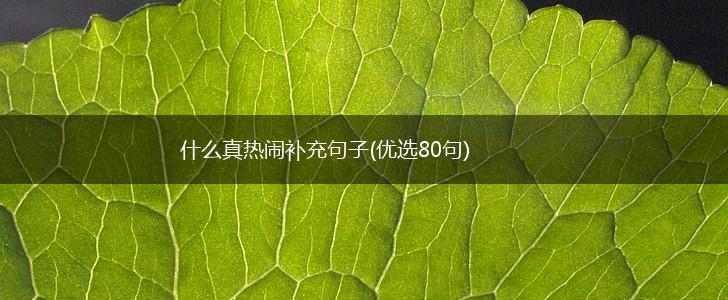 什么真热闹补充句子(优选80句),第1张