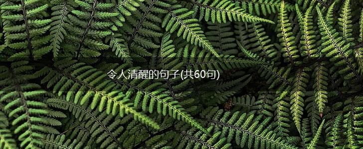 令人清醒的句子(共60句),第1张