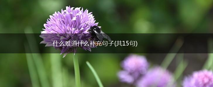 什么难道什么补充句子(共15句),第1张