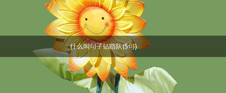 什么叫句子站路队(5句),第1张