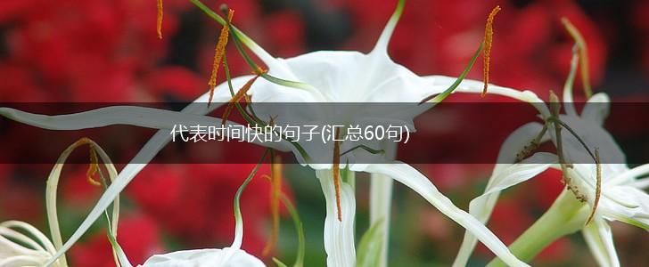 代表时间快的句子(汇总60句),第1张