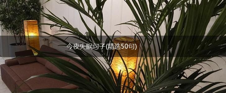 今夜失眠句子(精选50句),第1张