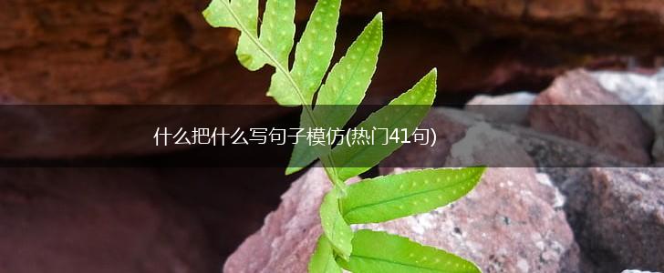 什么把什么写句子模仿(热门41句),第1张