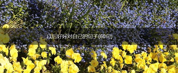 以后好好对自己的句子(60句),第1张