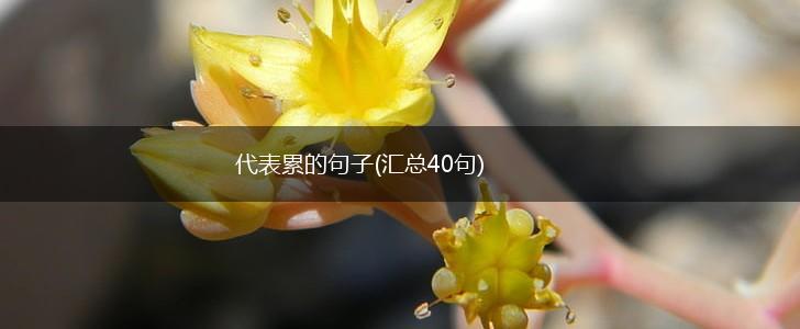 代表累的句子(汇总40句),第1张