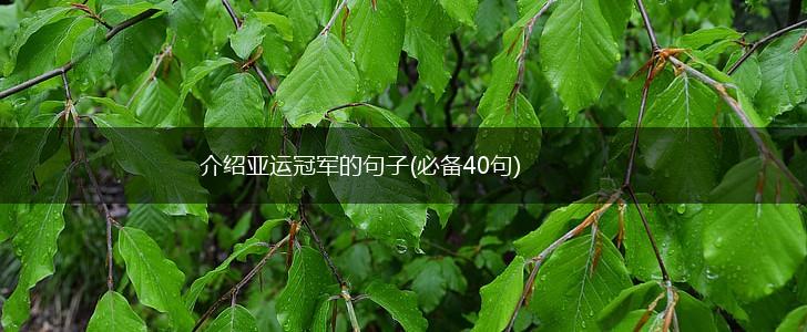 介绍亚运冠军的句子(必备40句),第1张