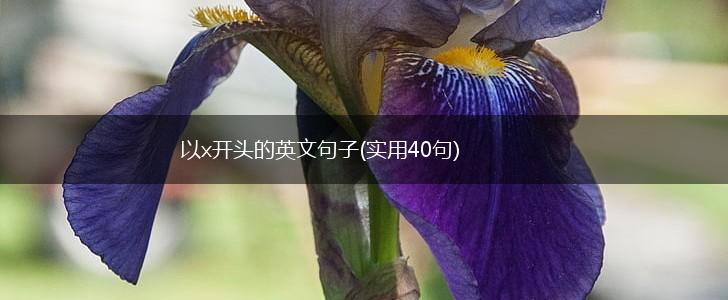 以x开头的英文句子(实用40句),第1张