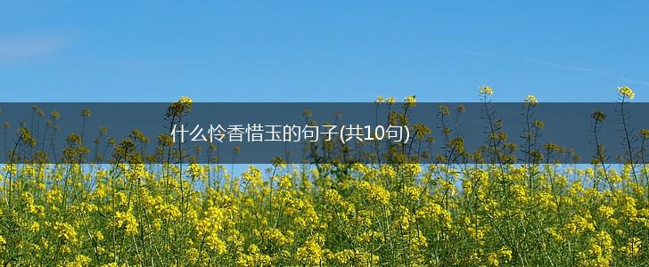 什么怜香惜玉的句子(共10句),第1张