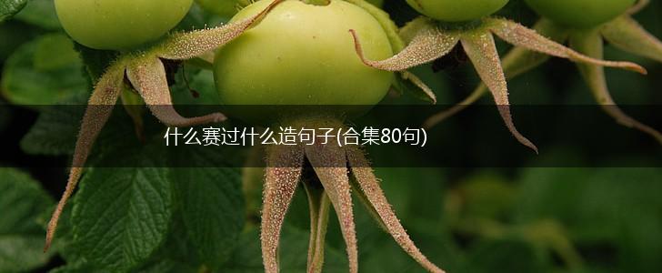 什么赛过什么造句子(合集80句),第1张