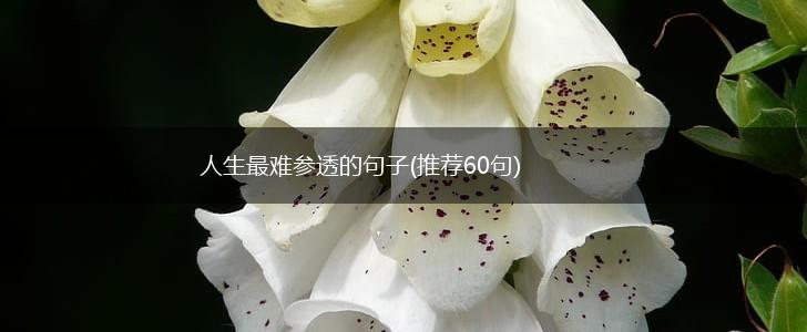 人生最难参透的句子(推荐60句),第1张