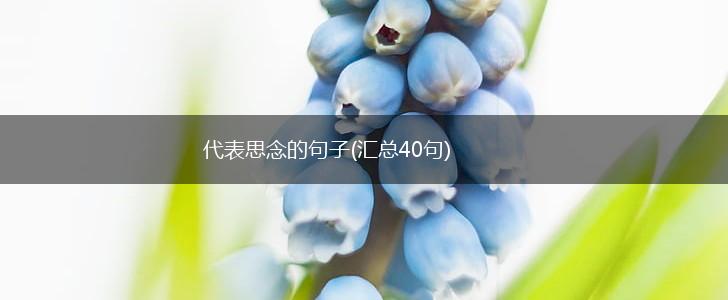 代表思念的句子(汇总40句),第1张