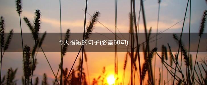 今天很短的句子(必备60句),第1张