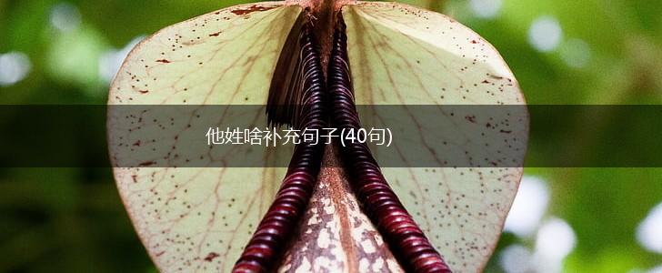 他姓啥补充句子(40句),第1张