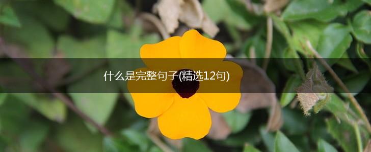 什么是完整句子(精选12句),第1张