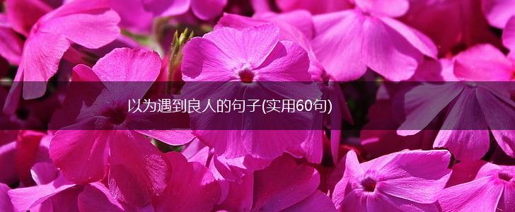 以为遇到良人的句子(实用60句),第1张