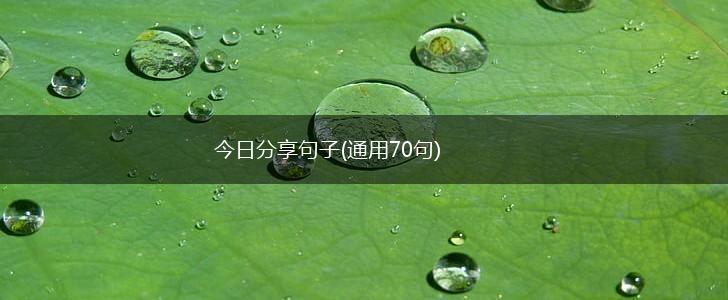 今日分享句子(通用70句),第1张