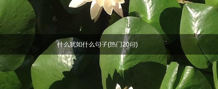 什么犹如什么句子(热门20句),第1张