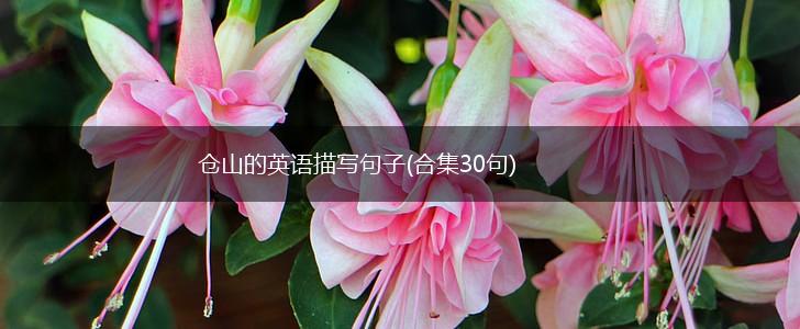 仓山的英语描写句子(合集30句),第1张