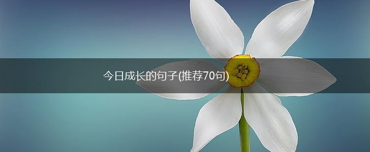今日成长的句子(推荐70句),第1张