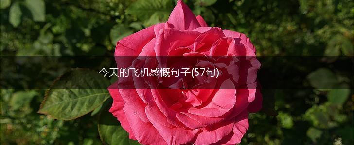 今天的飞机感慨句子(57句),第1张