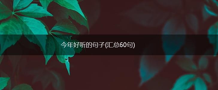今年好听的句子(汇总60句),第1张