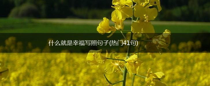 什么就是幸福写照句子(热门41句),第1张