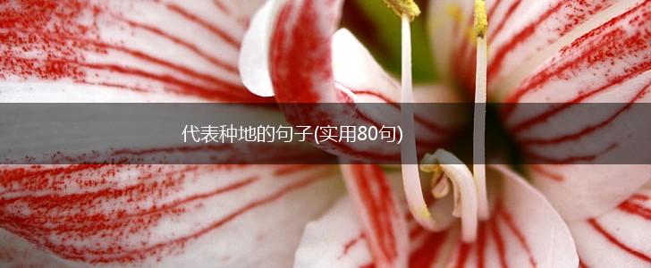 代表种地的句子(实用80句),第1张