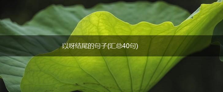 以呀结尾的句子(汇总40句),第1张