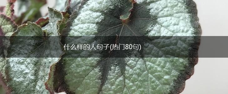 什么样的人句子(热门80句),第1张