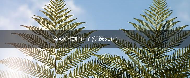 今朝心情好句子(优选51句),第1张